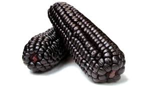 Corn Purple - ZANACEUTICA E.I.R.L